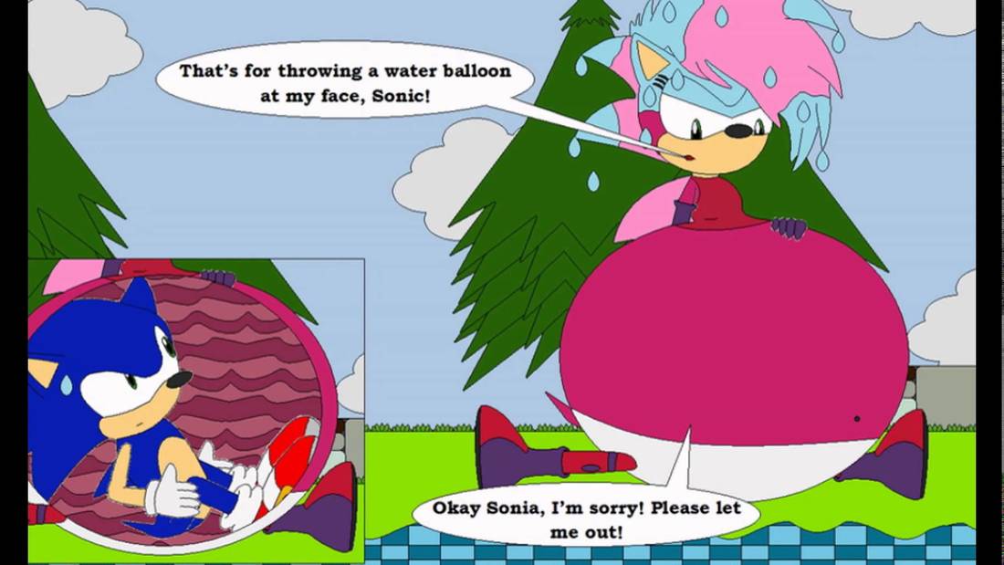 Amy Rose Anal Vore Animation - 10 DISTURBING EXAMPLES OF SONIC THE HEDGEHOG VORE - DIGITISER
